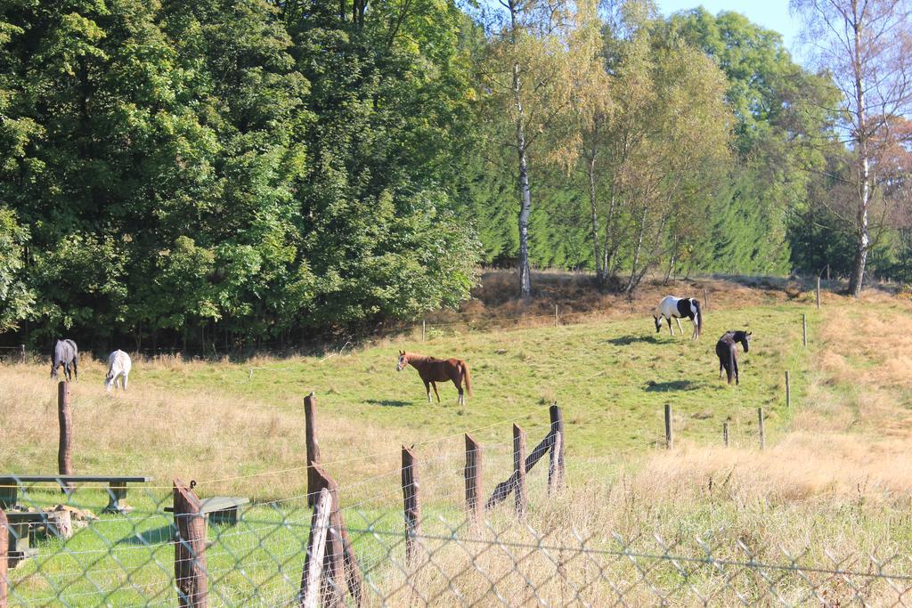Sloneczna Zagroda - Sunny Ridge Farm Laczna  Exteriér fotografie